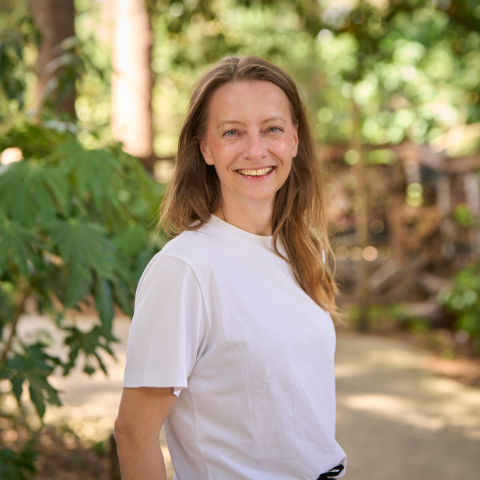 Aukje